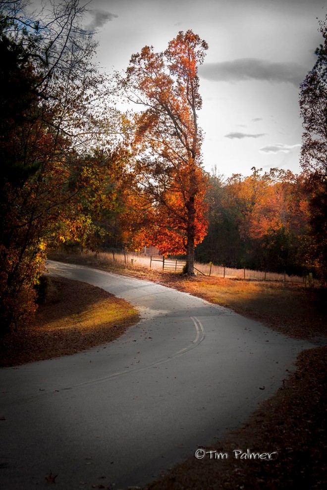 Fall road.jpg